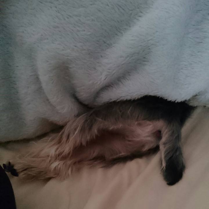 Bc51871f 2c82 40a1 ba43 d4de1053a9dd