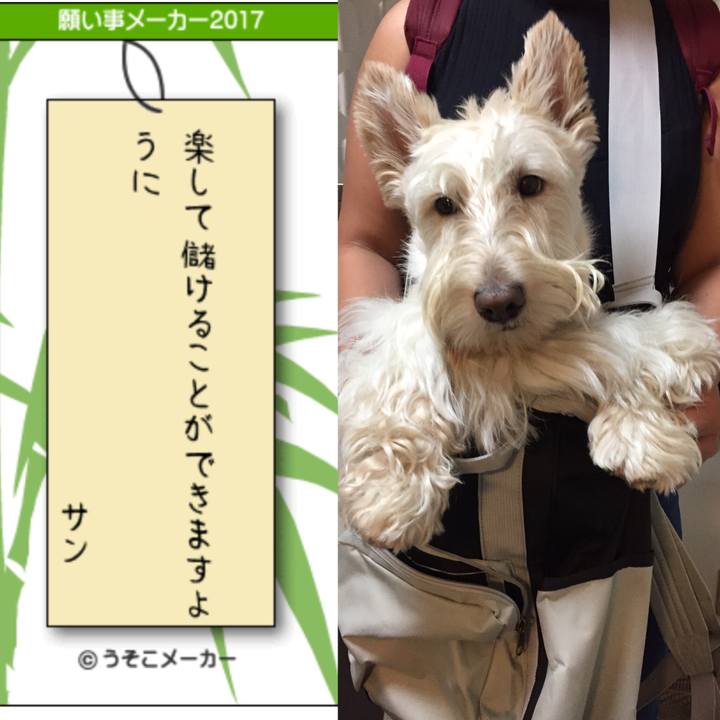 Bc519c8c 5fc5 4ec6 994b 36c3a56fd74b