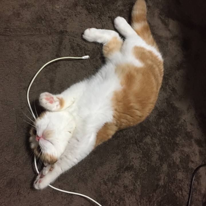 Bc5217f0 9648 4fb5 ac7a 852ab06aaf13