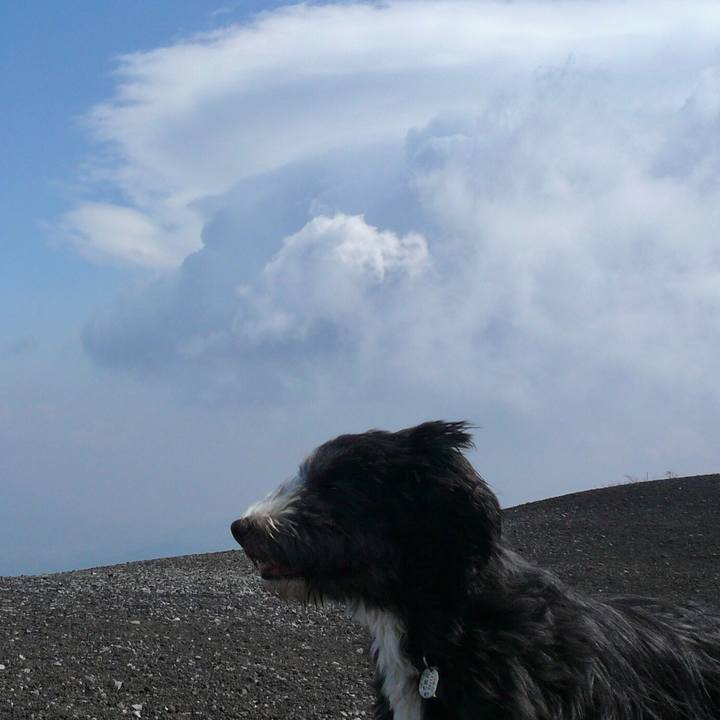 Bc52b22a 50e3 420c a576 bc03ddb131e5