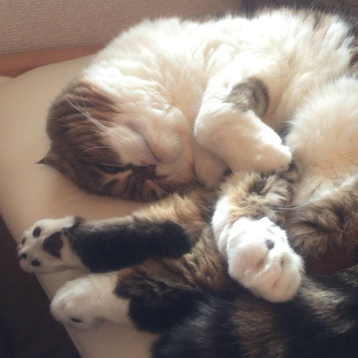 Bc537311 4ed1 441b b518 670db5140ffa