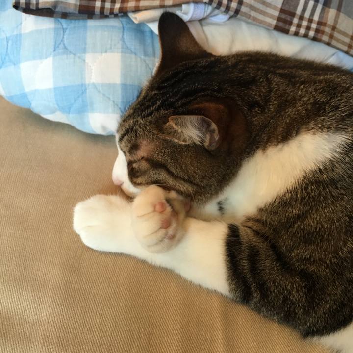 Bc537b7a 74b2 4297 be20 f62d16e826d2