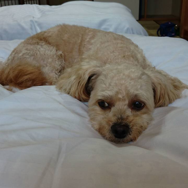 Bc544812 f485 4513 86f8 0235b3c065b3