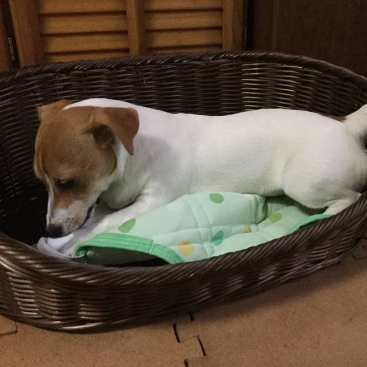 Bc5484f3 7cbd 4bc4 8deb cfba4f29f9b7