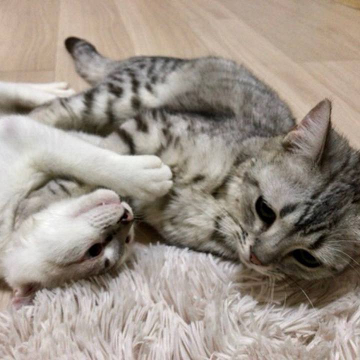 Bc55bf92 4fa5 4c40 9003 4e65b7d32034