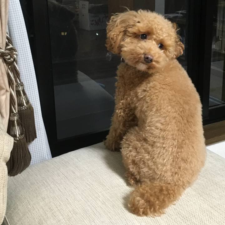 Bc55fd09 87f6 45bd 80dc 7225929c6bf0