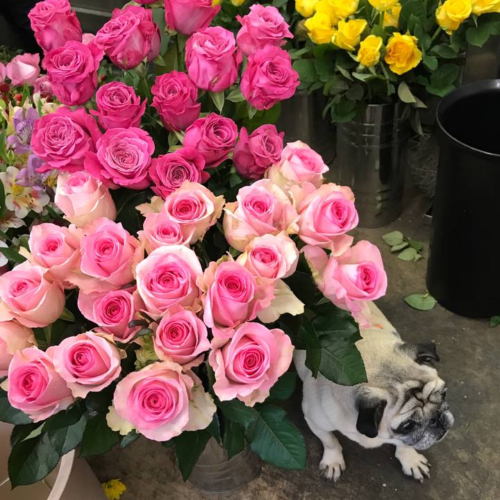 Bc5678ea b3f3 49ba bdcf 362cd72e1ea0