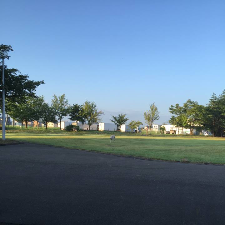 Bc57588d ed5b 4413 9034 6babfe679ddf