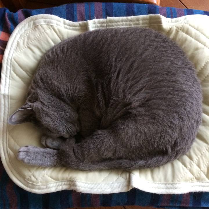 Bc578346 42ac 4ad7 85f0 56bc52d52378