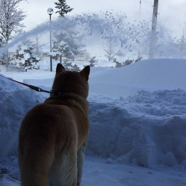 Bc585676 3b20 4057 b06e ff5f9362503d