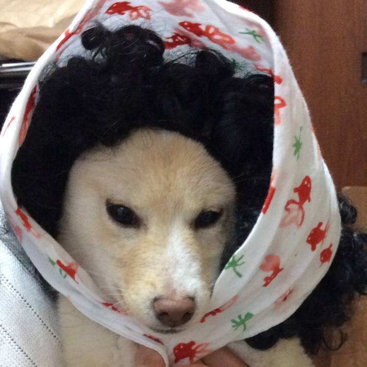 Bc5866f8 8707 4270 973a 1cee79b3216a