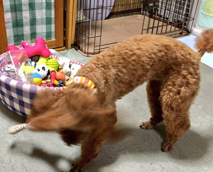 Bc59faf7 61d1 4fc1 8900 0e592b4c0067