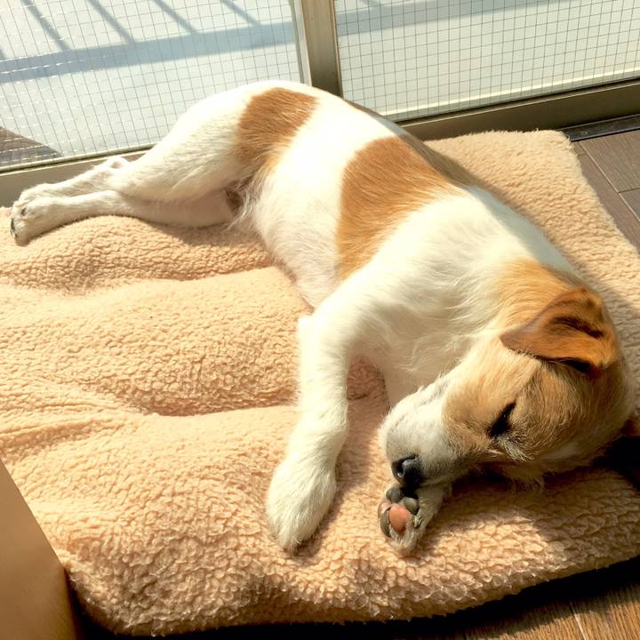 Bc5a8ab9 199f 4b00 9df2 1e73624702c5