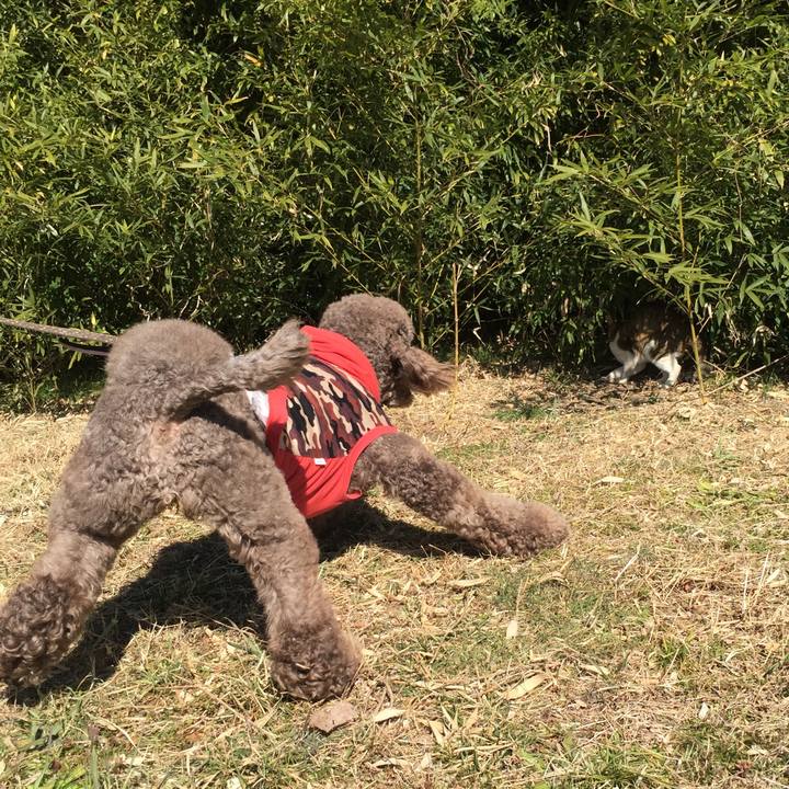 Bc5add06 f52e 4d6b 9a42 bf969ce762a4