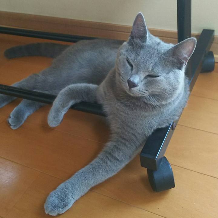 Bc5bdee8 4383 42f8 af02 35763ae392f8