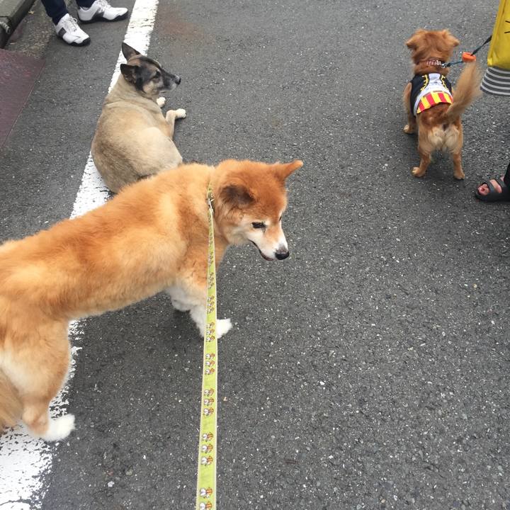 Bc5c3718 4b4a 4d17 aeec ec3a75986afa