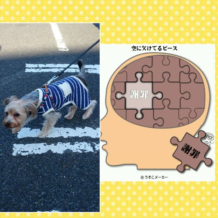 Bc5c642a 7a99 4396 9e7c ff6c7dade8ac