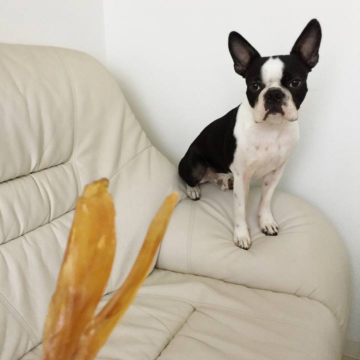 Bc5c76e7 93e5 448e a1af 09f5eead2134