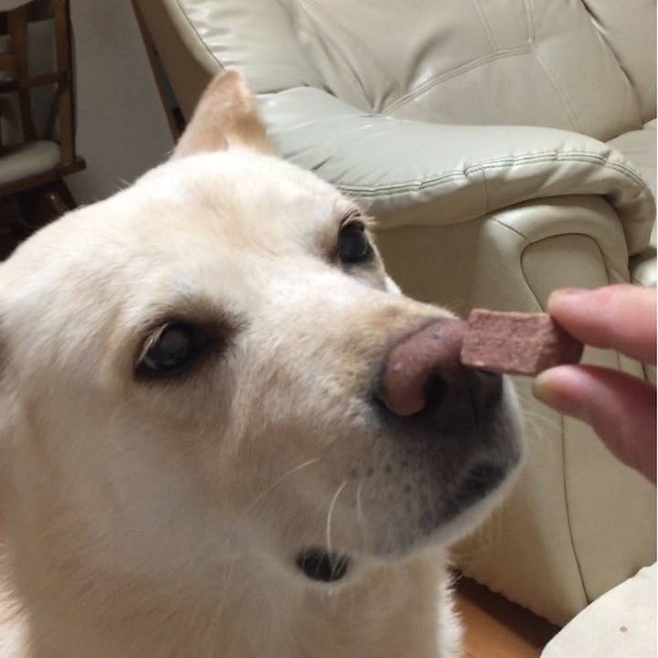 Bc5c86d1 8564 497f bdf1 063503a14622