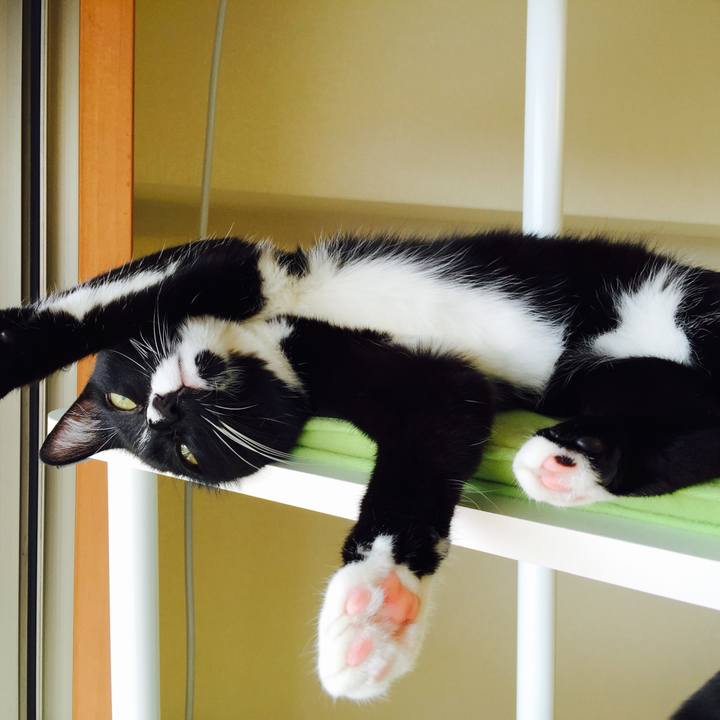 Bc5cf05d 335f 4592 826b a984ac955295