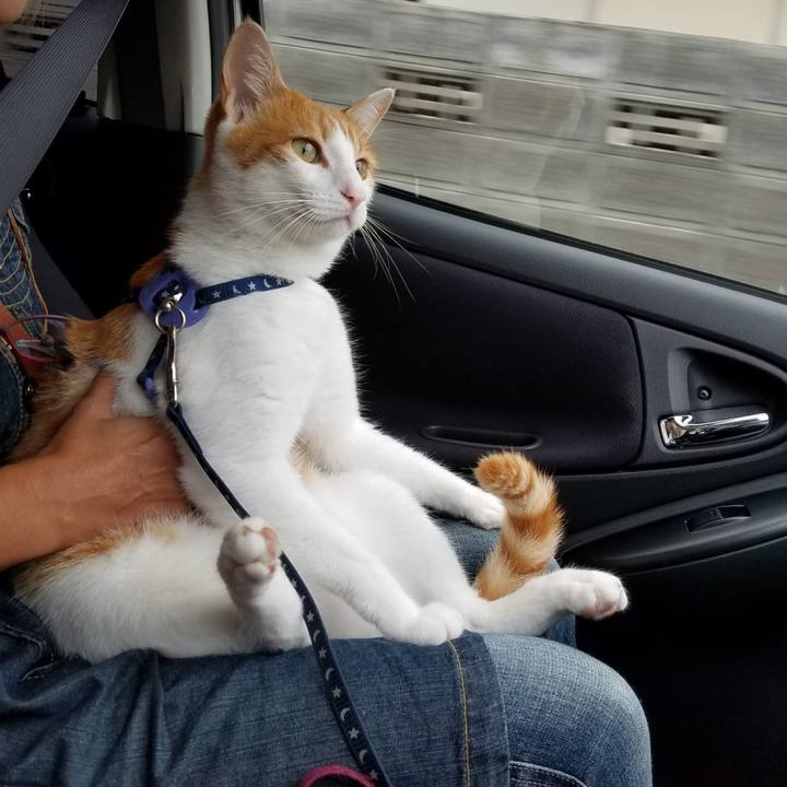 Bc5d5c4c 96d2 4539 9f5c 0c057e945ac8