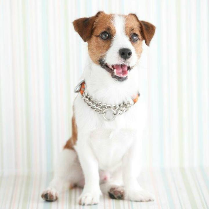 Bc5d6be5 5f17 485b 9c44 9f382c2fe5d4