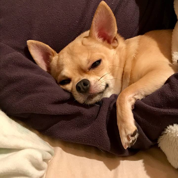 Bc5d71cc 390c 4b3b 8ef3 61363552eba1