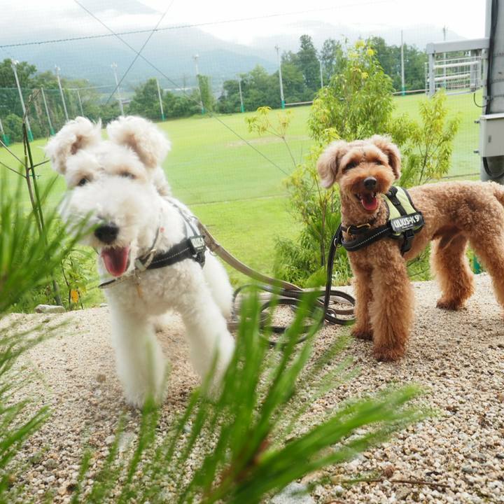 Bc5e0fd0 751d 42e9 a788 74e46e02f0a6