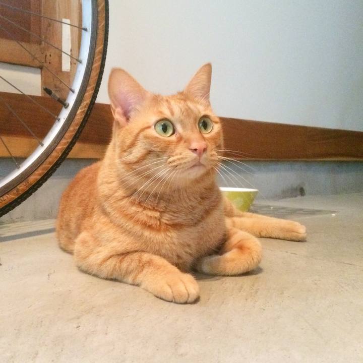 Bc5e8c57 cb3c 4bb3 8bb9 e1383e4d38b6