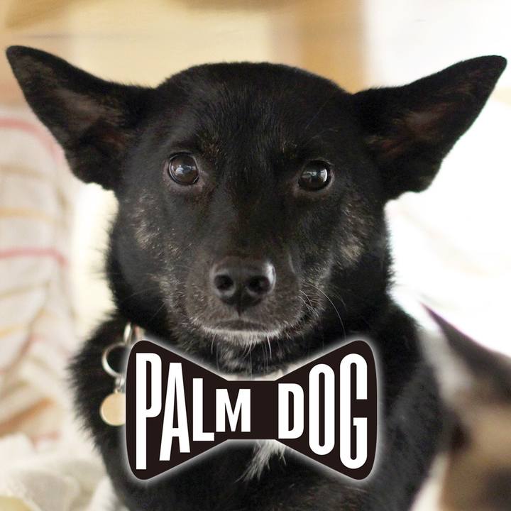 Bc5ea05f 29f8 43d2 9879 bd9535a88cbf