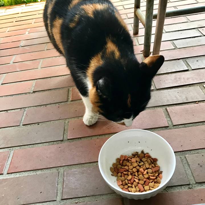 Bc5eac9d aaa3 487b b3db 8c74b707b0b1