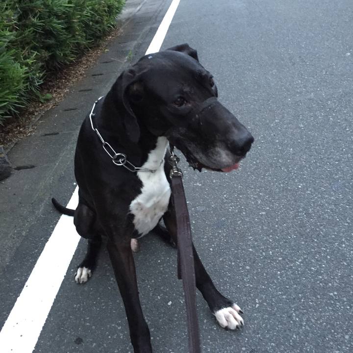 Bc5eff5f 9cd3 4cde 99df 64081a819245