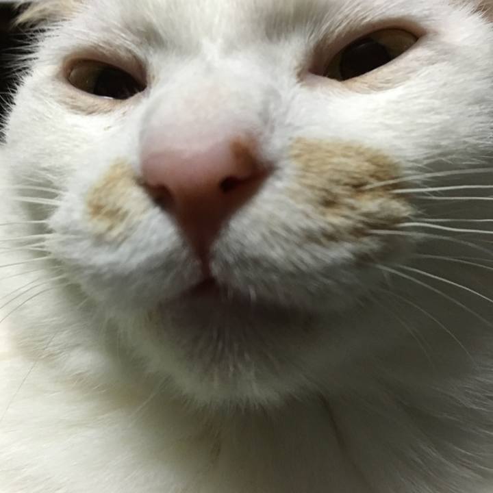 Bc5effab c334 4594 9398 8a772d778119