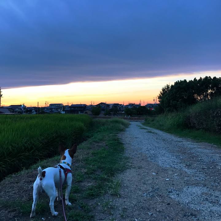 Bc5f5f01 be07 4416 bc9f 76183aff89f6