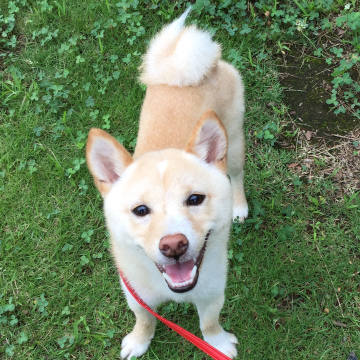 Bc5f65ee 1d31 4e85 92d3 d822b14c8efa