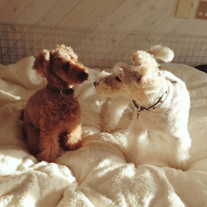 Bc5f75e8 774b 4c1b 9ac4 389bc6ab26fb