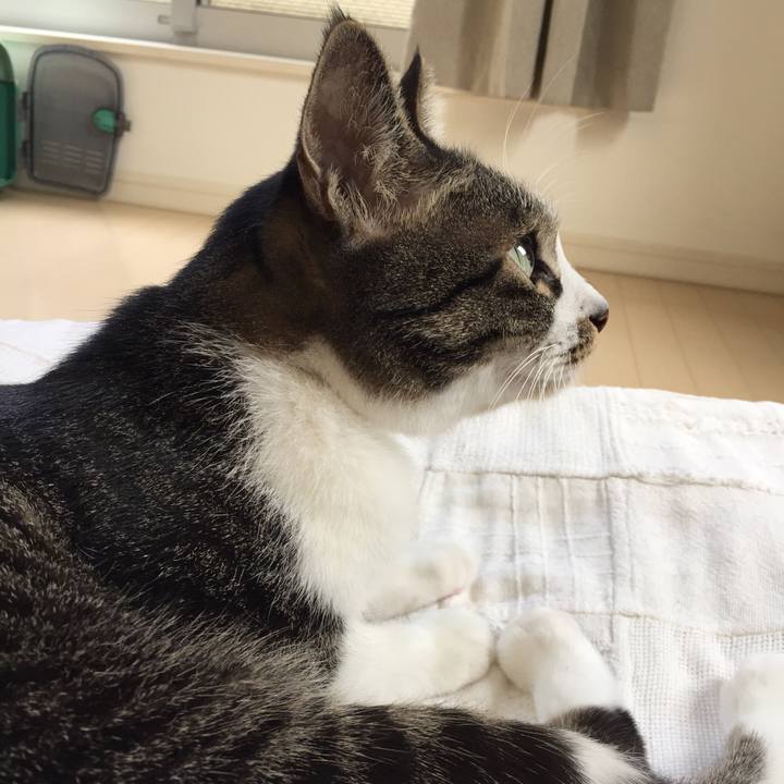 Bc5feeac a7a9 4eb1 9536 4a5e48fabe0a