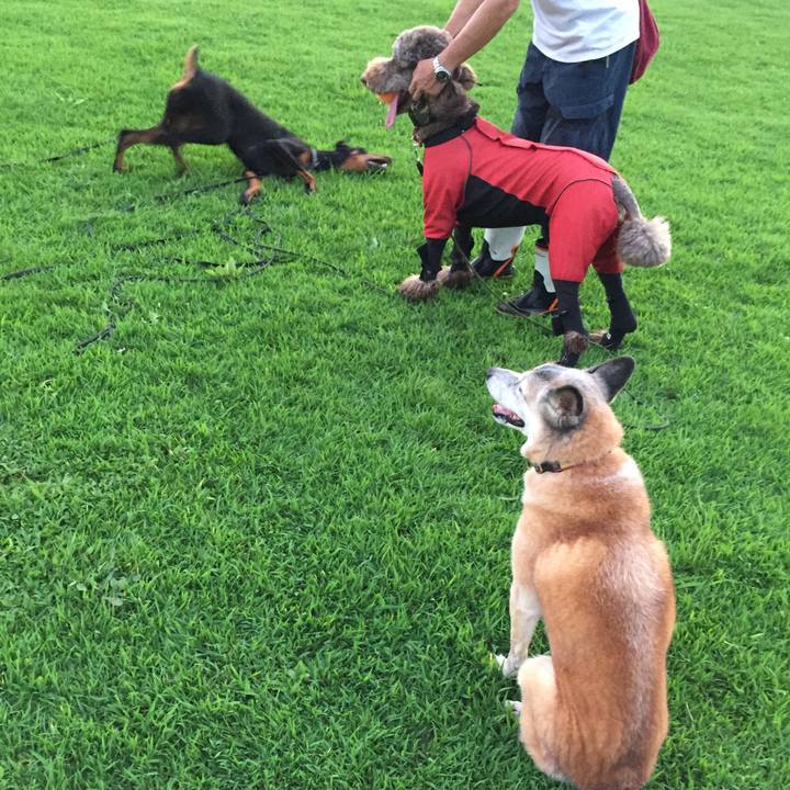 Bc606224 2a04 4ba9 a4f6 124f9497c79c