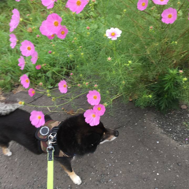 Bc60c090 99aa 4020 b6ce 515fc63dcdf9