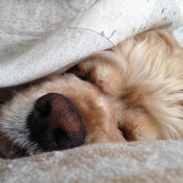 Bc6133b7 fd99 4905 ad54 8c6e0e543d0a