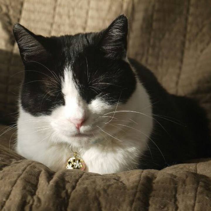 Bc613a18 ebac 42e1 83b5 f778c8624adb