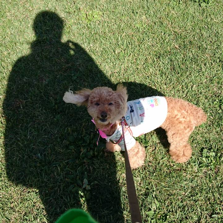 Bc625635 b275 495d bc22 abb990d34ae6