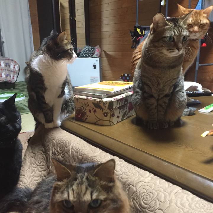 Bc6364c3 c8e4 481b 82ed e9001fa80f23