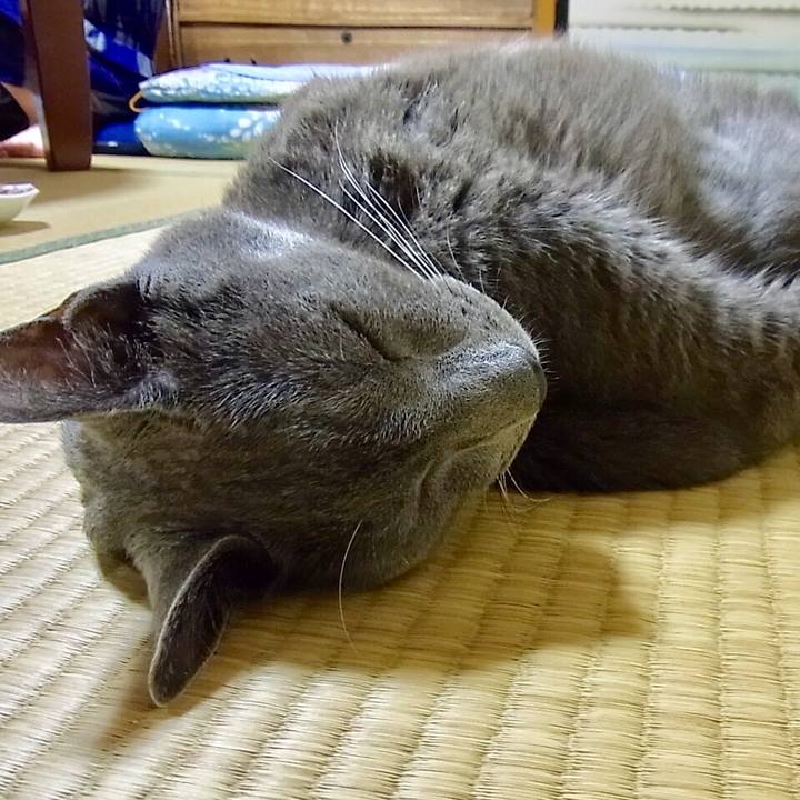 Bc63a2e0 a98b 4fd3 9184 8a91ef6e376e