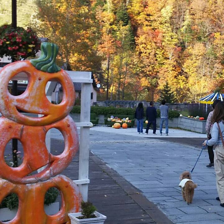 Bc6425f0 1158 4f0f aeaa 76a6734f0566