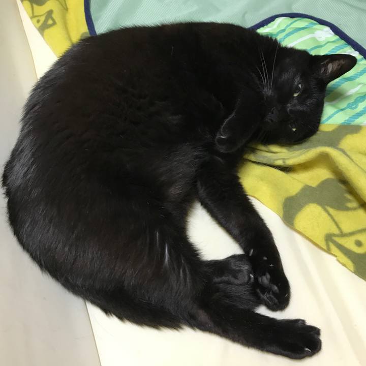 Bc64e033 e9ad 4a2b 9c70 d7471b0d36eb