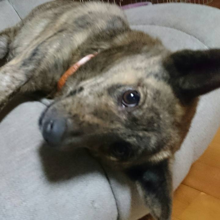 Bc65dba6 49f0 4794 ad19 43f8311bc348