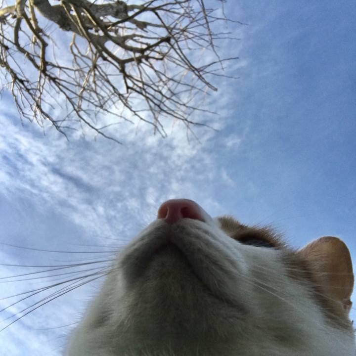 Bc65dc7d 2ac4 4fd9 b26f cec95bed7172