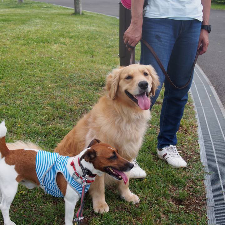 Bc668dd9 8aea 48b6 8d96 5ffe9e4f1eff