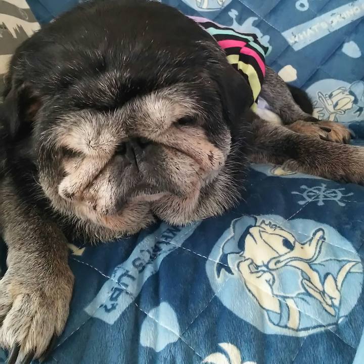 Bc674b8a a49c 44ad b1ba ae3ec9d2b504